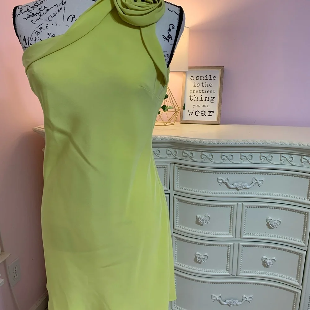 ABS One Shoulder Rosette Mini Dress. Size 2 - Picture 8 of 16